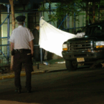 New York Daily News | NYC Criminal Lawyer NYC Criminal Lawyer