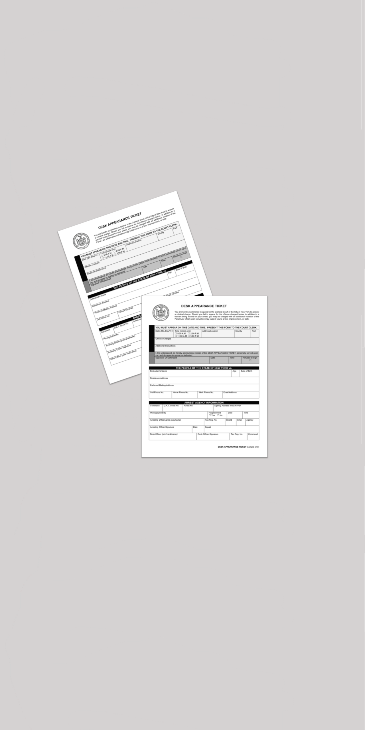 DAT FORM IMAGE FOR A MANHATTAN DEFENSE LAWYER TO SHOW CLIENTS HOW IT LOOKS