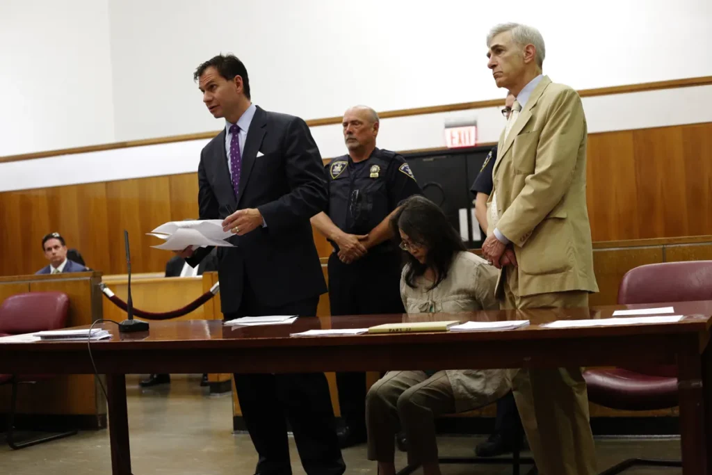 Top criminal lawyer in court